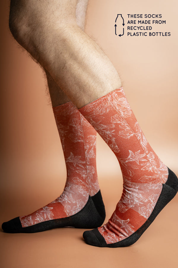 Recycled polyester socks with a detailed print of the iconic Australian Kangaroo Paw plant against a burnt orange background.